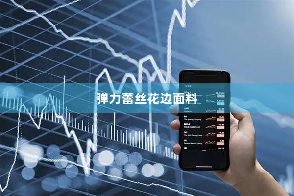 弹力蕾丝花边面料