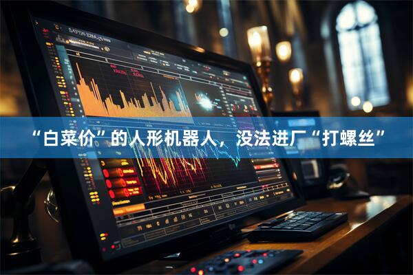 “白菜价”的人形机器人，没法进厂“打螺丝”