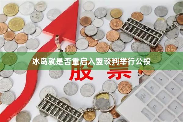 冰岛就是否重启入盟谈判举行公投