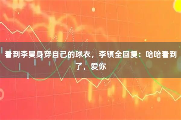 看到李昊身穿自己的球衣，李镇全回复：哈哈看到了，爱你