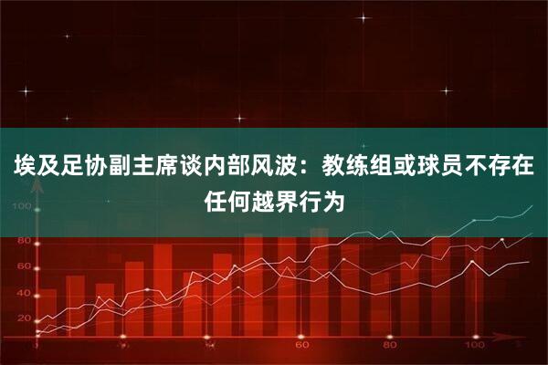 埃及足协副主席谈内部风波：教练组或球员不存在任何越界行为